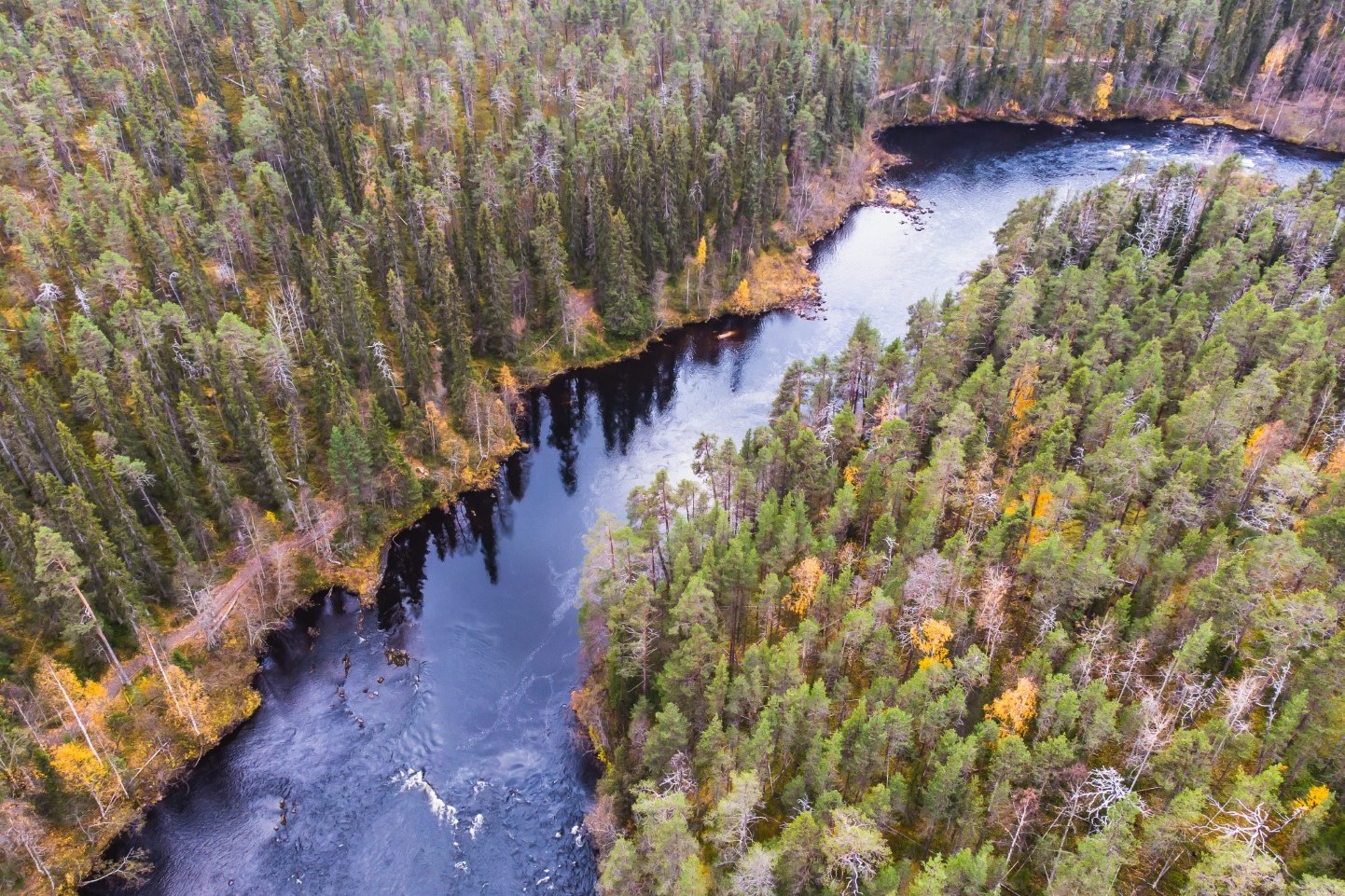 Oulanka Nationaal Park landschap in Finland