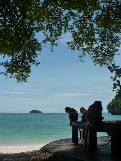 apen-railay-thailand