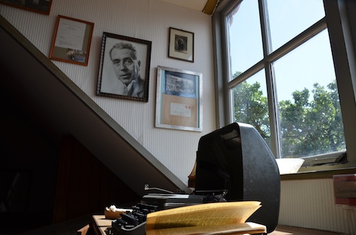 kameleon-terherne-werkkamer-hotze-de-roos