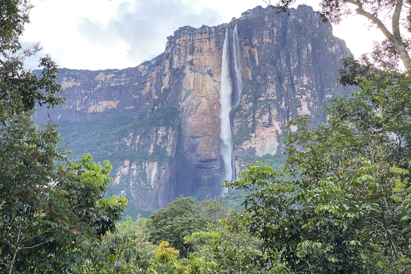 Angel Falls