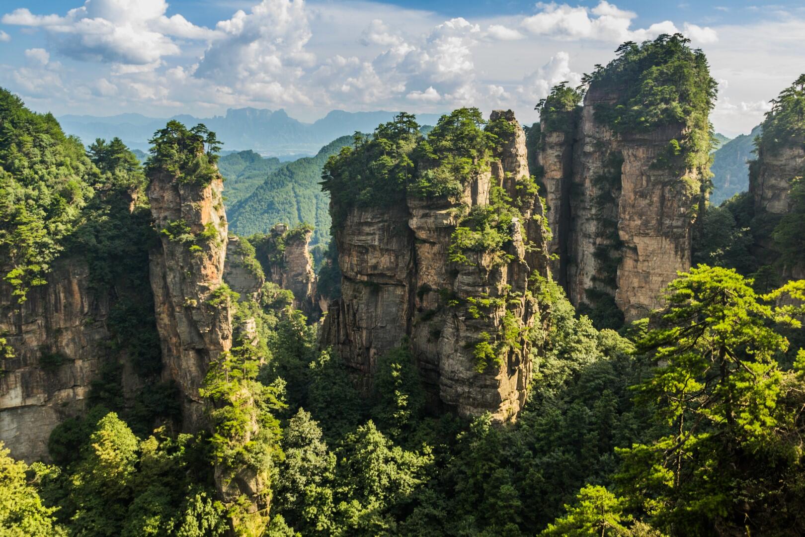 National Forest Park